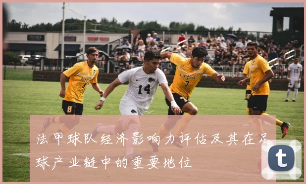 法甲球队经济影响力评估及其在足球产业链中的重要地位